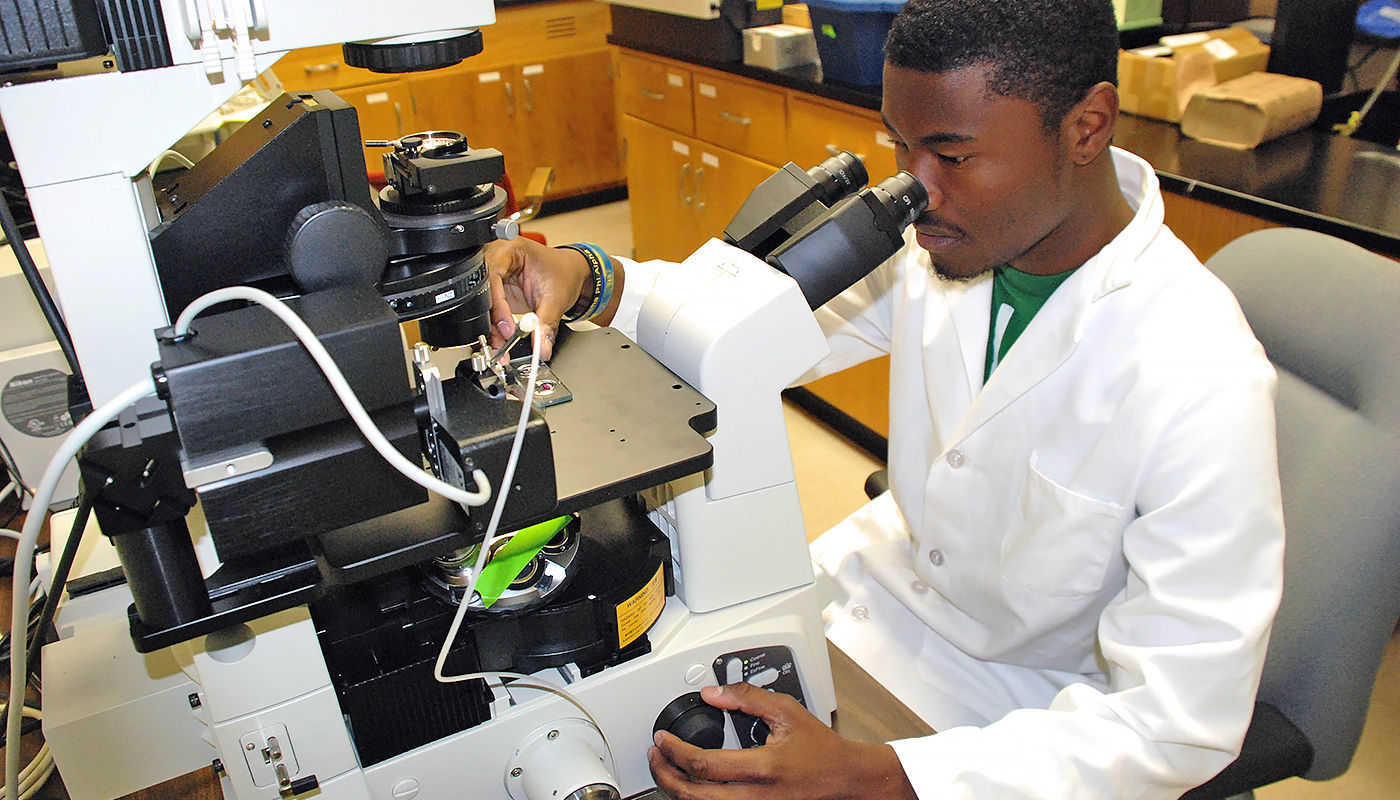 Animal Science :: FVSU College of Agriculture, Family Sciences and  Technology