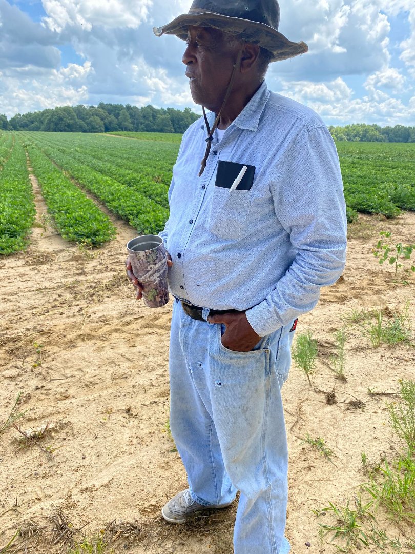 Bartha Moore surveys acres of his farmland. 