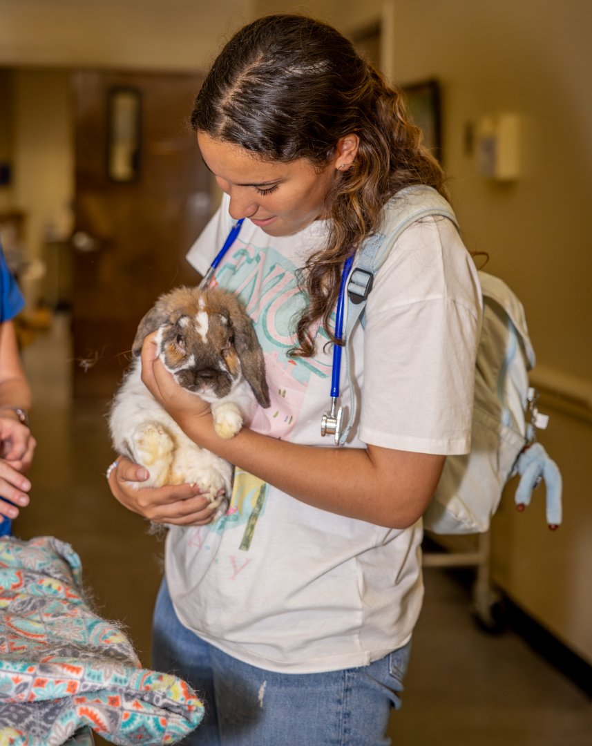 Bianca Gomez-Reyes joyfully cradles a rabbit in her arms.