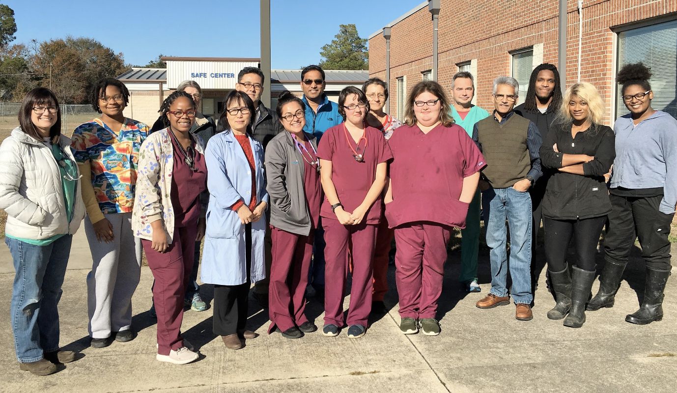 FVSU animal and veterinary science professionals and students collaborated with USDA scientists to conduct gene-editing research on goats.