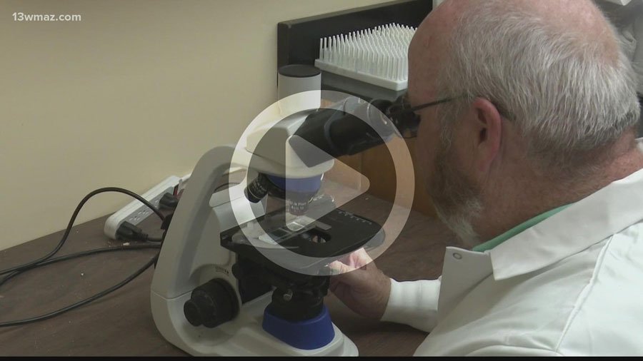 link to 13wmaz video of FVSU professor and researcher, Dr. Tom Terrill