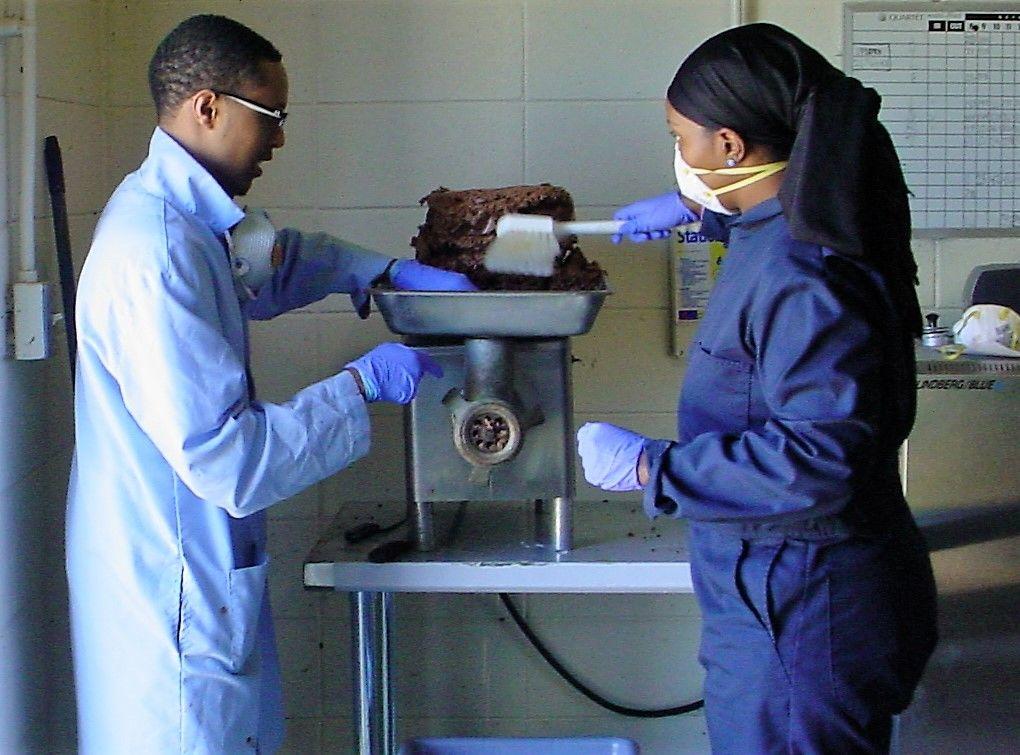 Fort Valley State University animal science graduate Beruk Lemma and former student Christina Alfred conduct research on small ruminant products at FVSU’s Meat Technology Center.