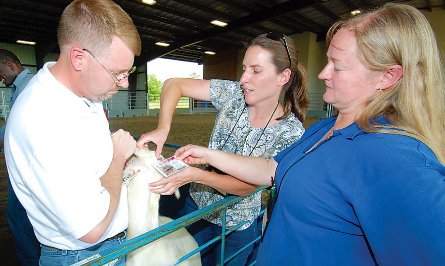 Dr. Niki Whitley (right), FVSU Animal Science Extension Specialist, assists small ruminant producers to increase the health of their animals and the profitability of their operations.