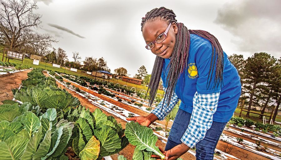 4-H student holds a collard green leaf in a vegetable garden.