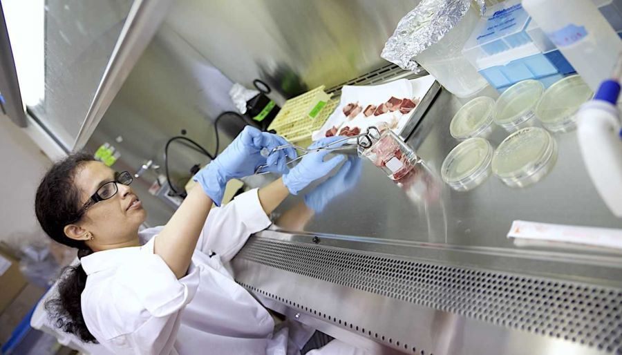 graduate student working in a laboratory on the FVSU campus.