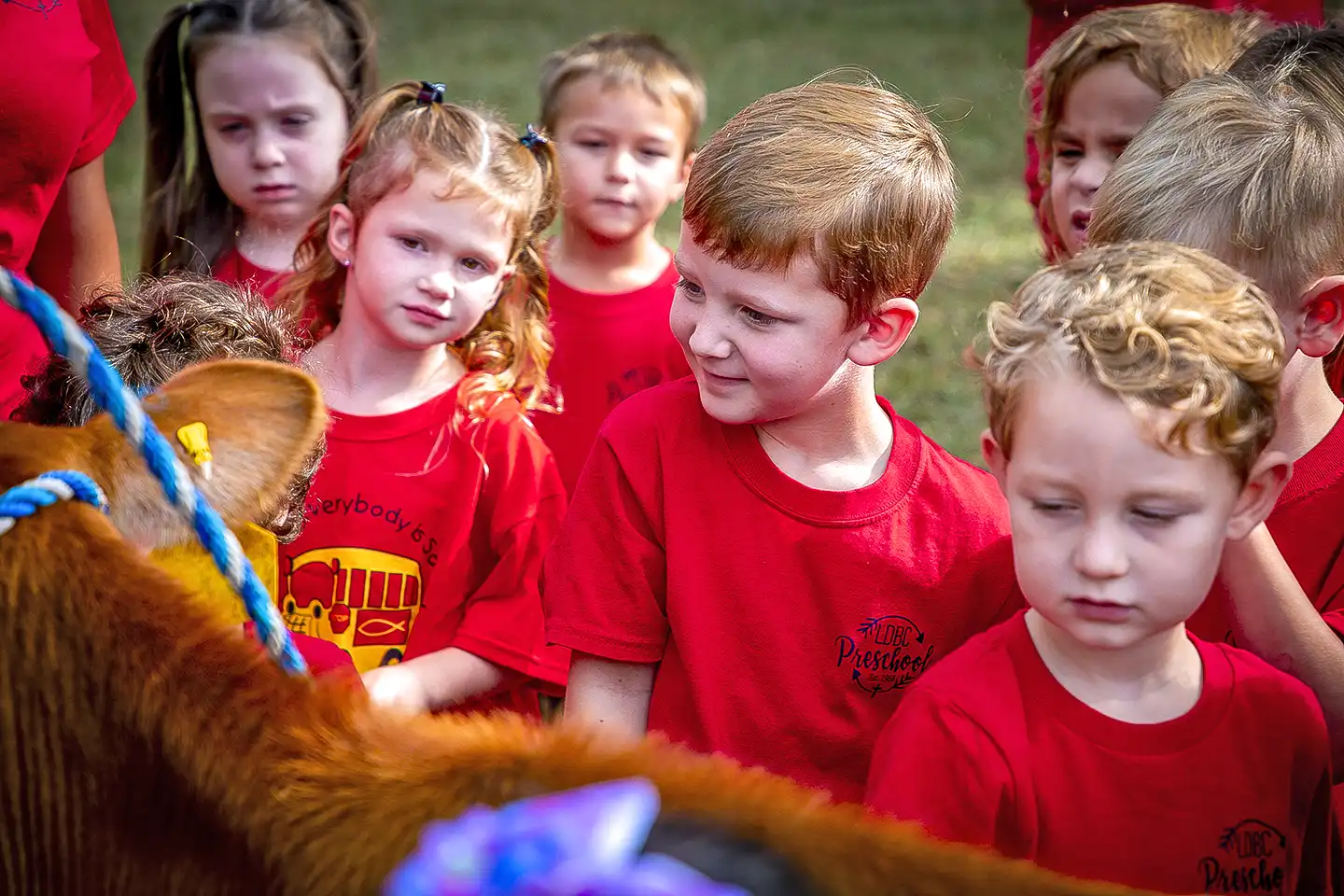 Children learning about farm animals.