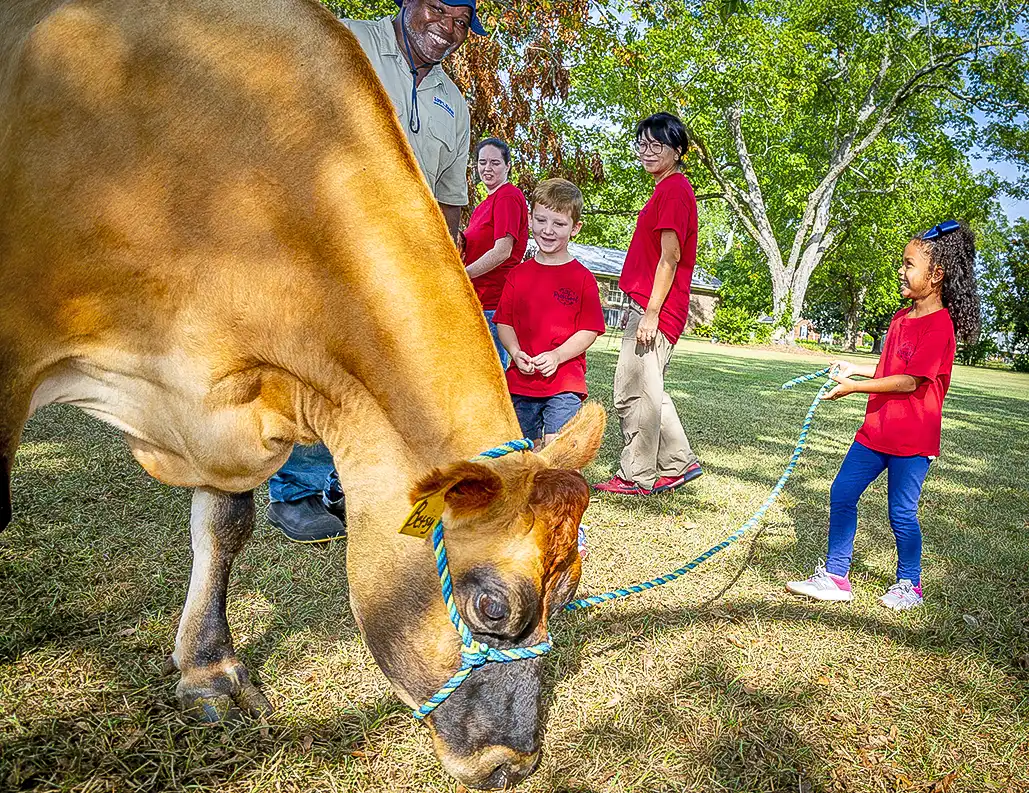 Children learning about farm animals.