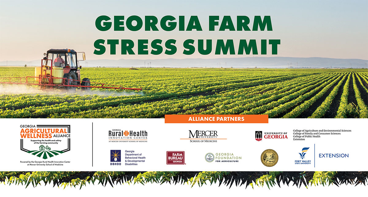 tractor spraying rows of crops in large field in bright daylight.