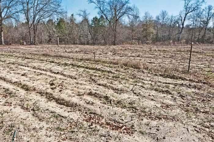 Dusty fallow field