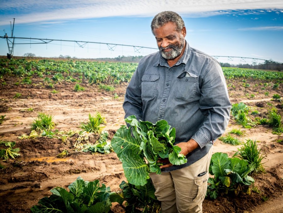 Howard James, owner of Jibbs Vineyard Quality Fruits and Vegetables, tends to his crops on 150 acres of farmland.